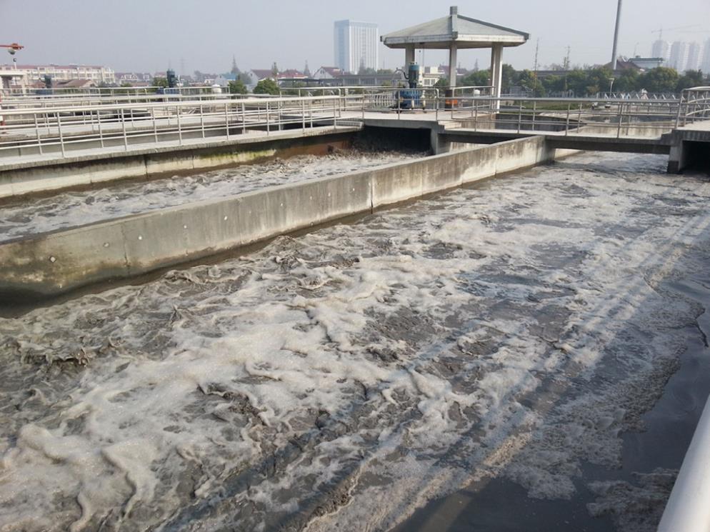 高濃度有機廢水處理組合工藝