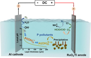 我公司生產(chǎn)的BOD-Q水質(zhì)測(cè)定儀所采集數(shù)據(jù)在國(guó)際期刊《Chemical Engineering Journal》上發(fā)表