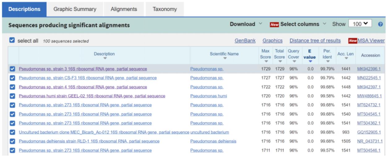 公司技術(shù)生產(chǎn)部成功分離出一株產(chǎn)電假單胞菌（Pseudomonas sp.）