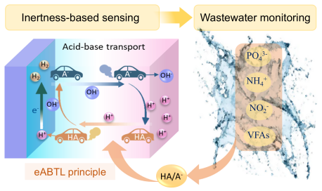 公司支撐團隊成員殷逢俊在水質(zhì)電化學傳感檢測原理及方法方面取得研究進展